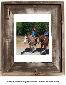 horseback riding near me in Ceiba, Puerto Rico